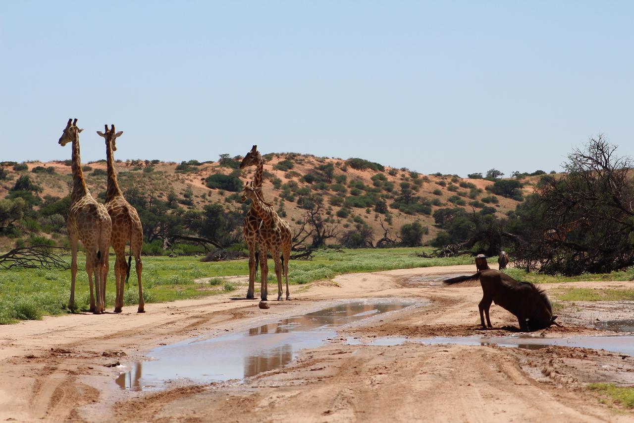 Kgalagadi Lodge Askham 外观 照片